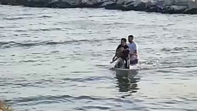 Mersin'de denize giren 7 yaşındaki çocuk boğuldu