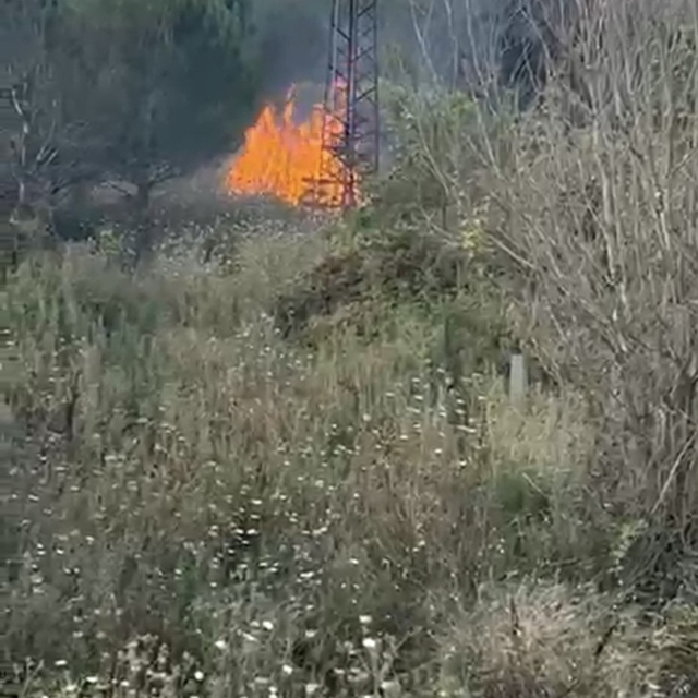 Çan'daki yangın ormana sıçramadan söndürüldü