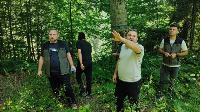 Düzce'de doğal gençleşme