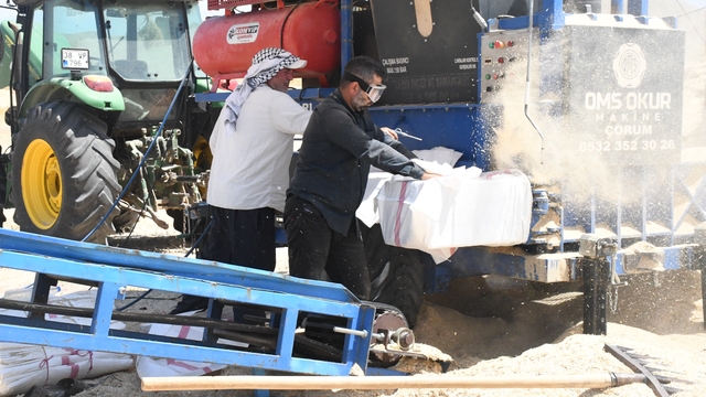 Yozgat'ta saman mesaisi: Tozun içinde ekmek mücadelesi
