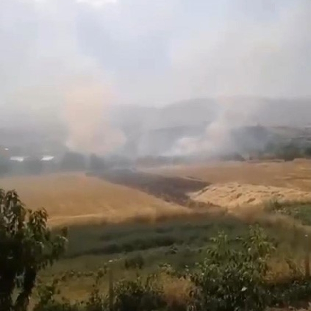 Elazığ'da otluk alanda yangın