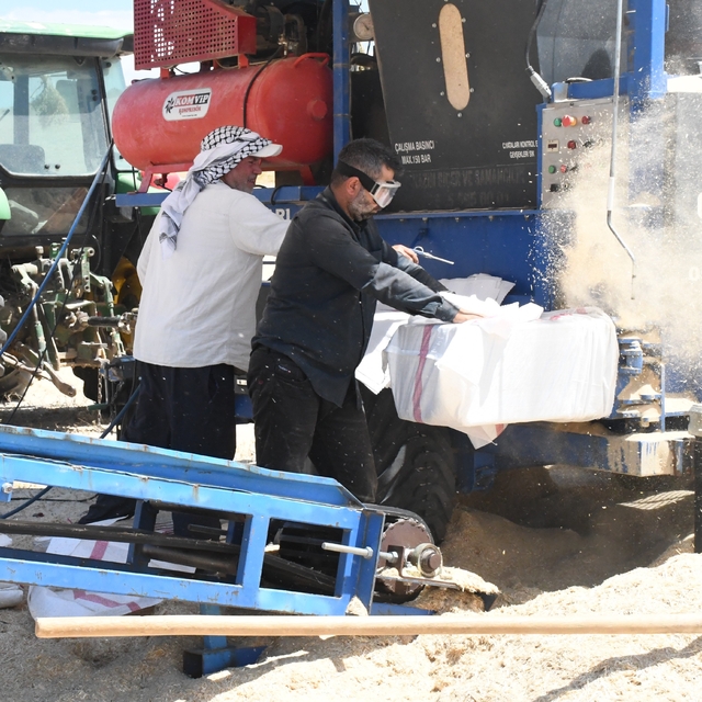 Yozgat'ta saman mesaisi: Tozun içinde ekmek mücadelesi