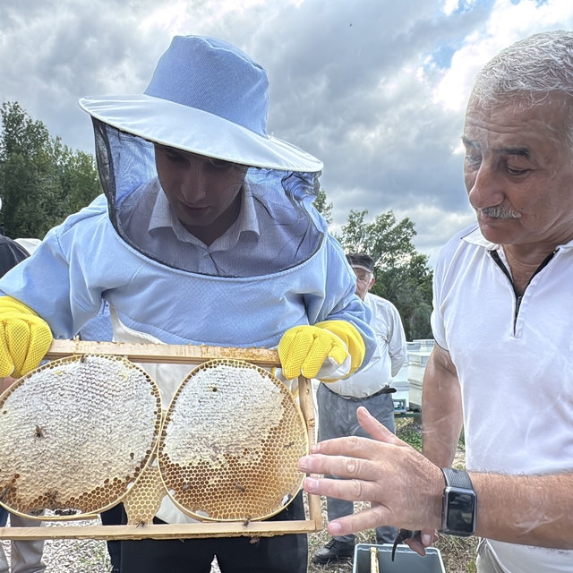 AB tescilli Yenice ıhlamur balında hasat başladı
Japonlar ıhlamur balını ta...
