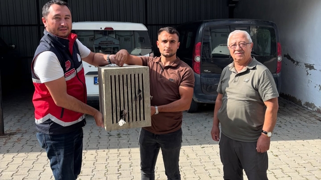 Yaralı halde bulunan leylek, koruma altına alındı