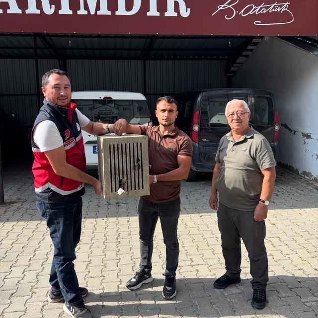 Yaralı halde bulunan leylek, koruma altına alındı