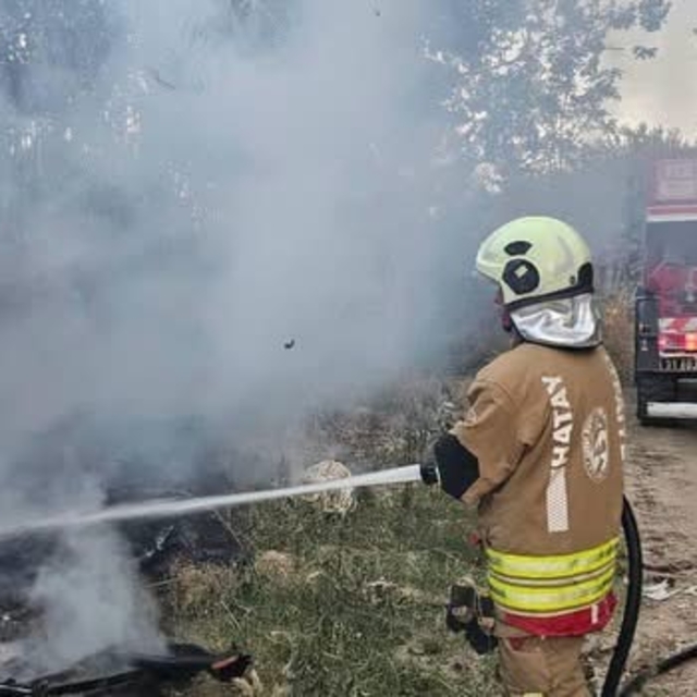 Defne'de sazlık alan yangını büyümeden söndürüldü