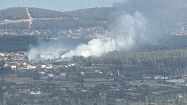 Muğla Menteşe'de orman yangını