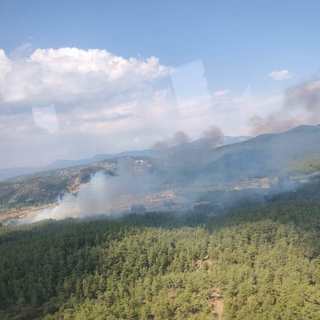 Muğla'da tarım arazisinde çıkan yangın ormana sıçradı