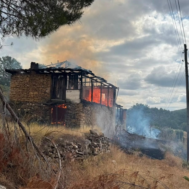 Ahırda çıkan yangın ormana sıçradı, büyümeden söndürüldü