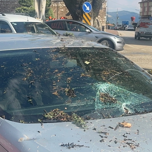 Fırtınada kökünden sökülen ağaç otomobilin üzerine devrildi