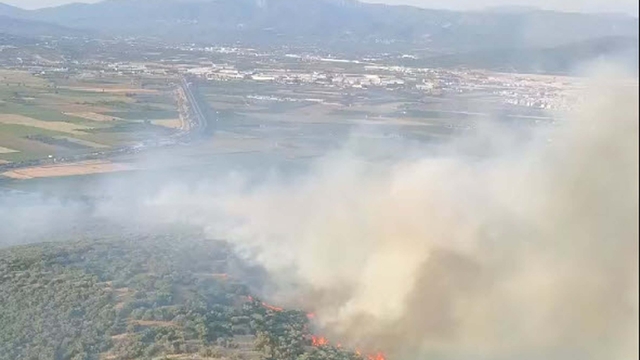 İzmir'de orman yangını