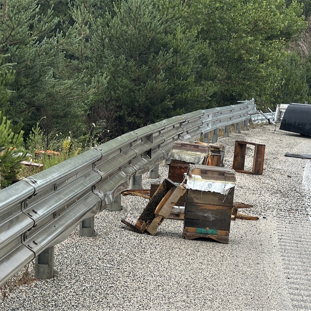 Kastamonu'da kamyonet bariyerlere çarptı: Etrafa saçılan kovandaki arılar t...