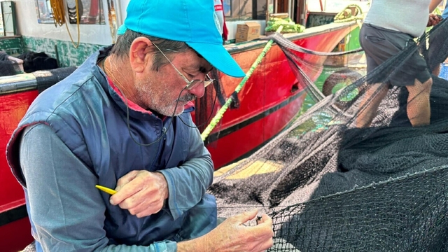 Galeri