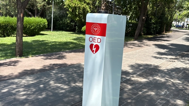 Diyarbakır'da geçtiğimiz ay yerleştirilen OED cihazları çalındı