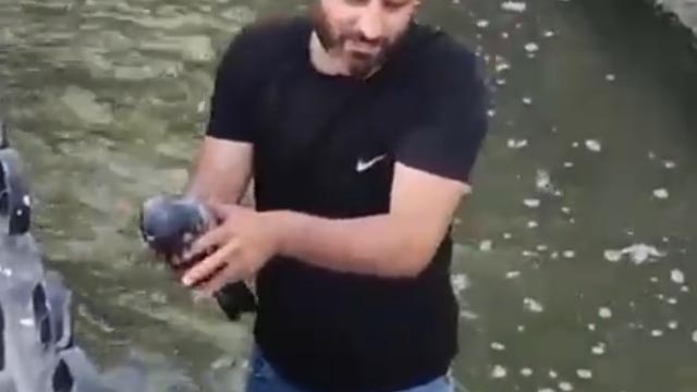 Su kanalına düşen yaralı güvercini kurtarıp, 'Boncuk' ismini verdi
