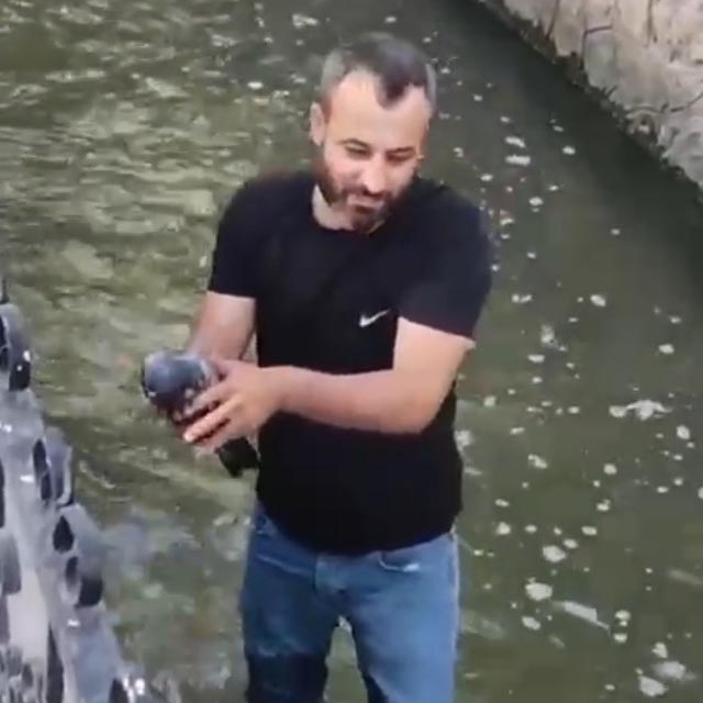 Su kanalına düşen yaralı güvercini kurtarıp, 'Boncuk' ismini verdi