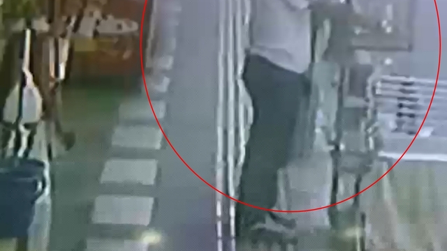 İş yerinin önünden papağanı çaldılar; o anlar kamerada