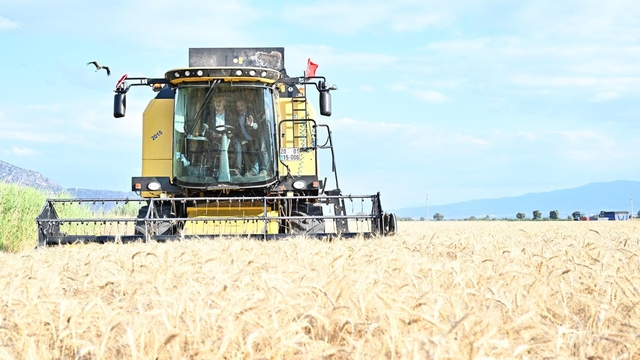 Vali Köşger Acıpayam'da bereket hasadına katıldı