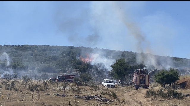 Arıcının tütsüsü ormanı yaktı