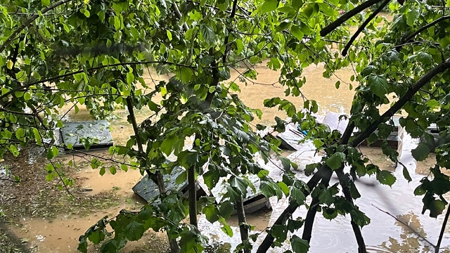 Kastamonu'da Cide'de sağanak; Devrekani Çayı taştı, ev ve iş yerini su bastı (2)