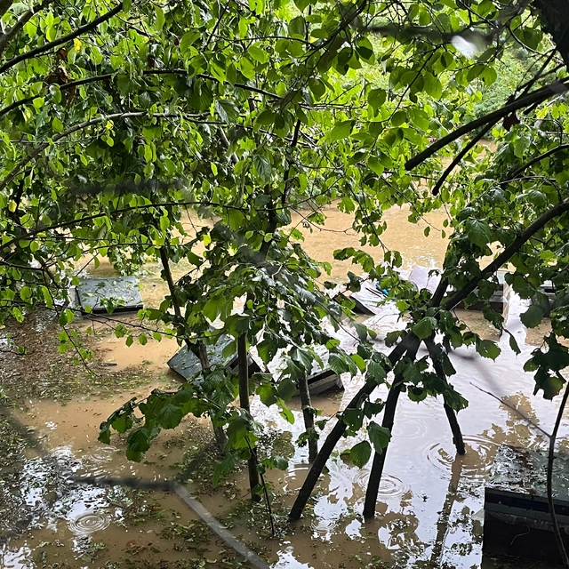 Kastamonu'da Cide'de sağanak; Devrekani Çayı taştı, ev ve iş yerini su bast...