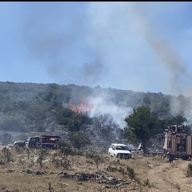 Arıcının tütsüsü ormanı yaktı
Ekipler alevlerle ve arılarla mücadele etti