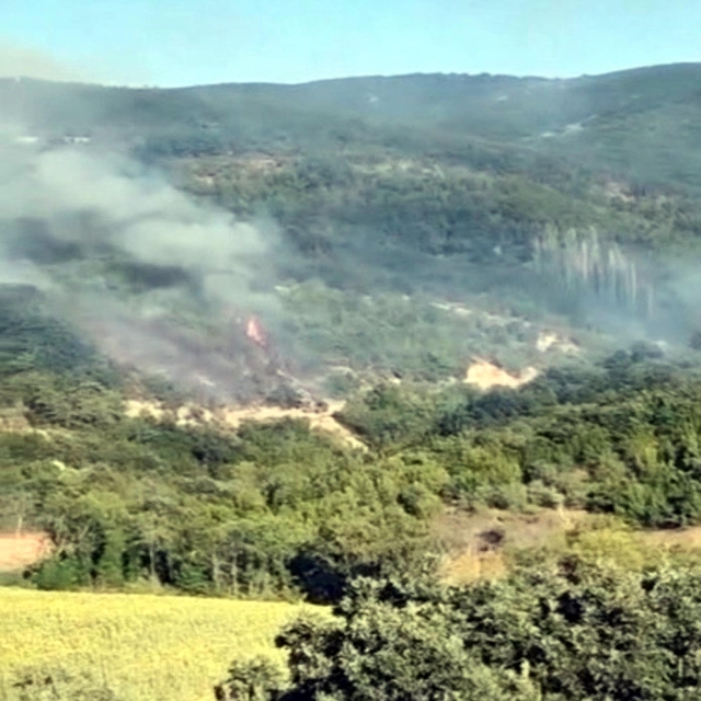 Tekirdağ'da anız yangını ormana sıçradı, 3 saatte kontrol altına alındı