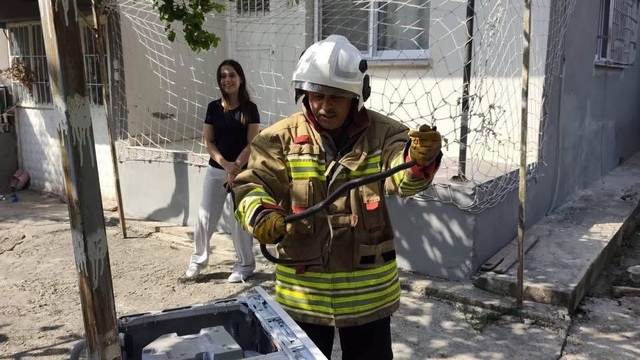 Hassa ve Erzin'de yerleşim alanlarına giren yılanları itfaiye yakaladı