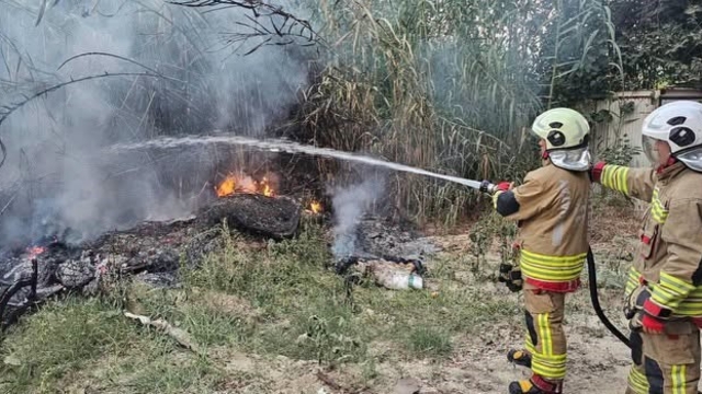 Defne'de sazlık yangını