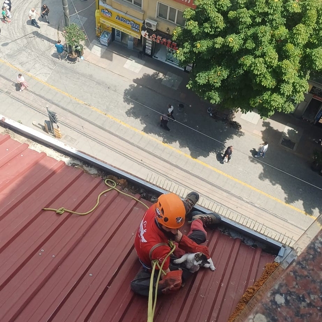 Dar alanda sıkışan kediyi DAK ekipleri kurtardı