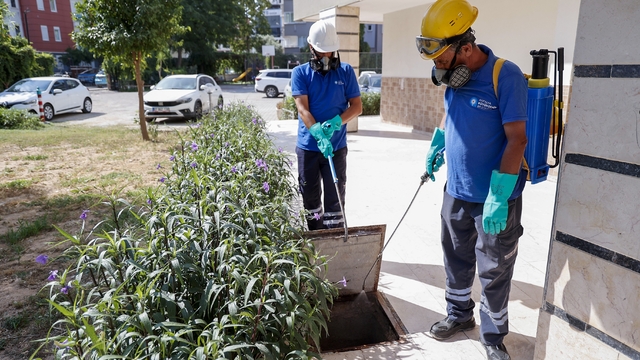Büyükşehir vektörle mücadelede eğitim ve saha çalışmalarını sürdürüyor