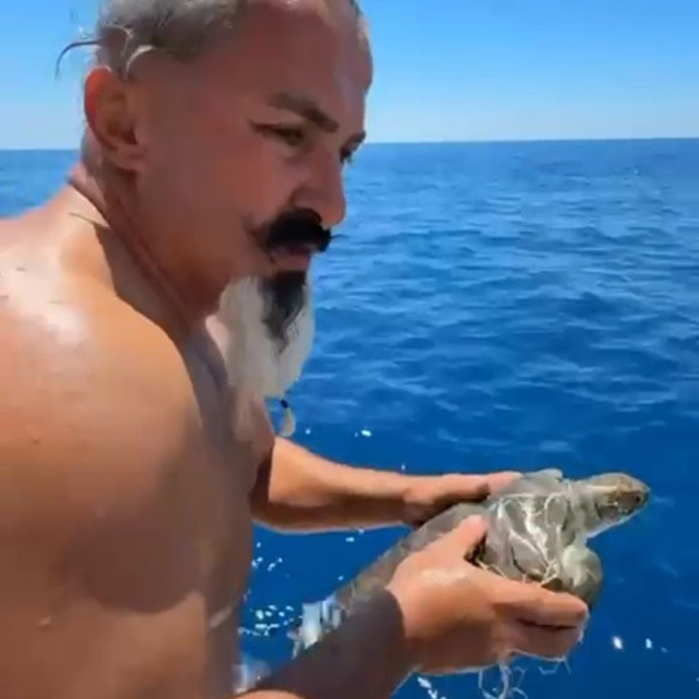 Çuvala dolanan deniz kaplumbağası kurtarıldı