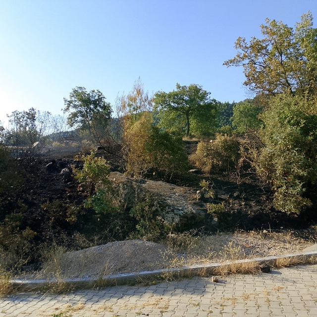 Bostanyeri'nde örtü yangınında alevler büyümeden kontrol altına alındı
