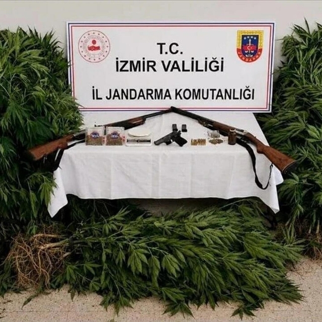 İzmir'de ormanda kenevir yetiştiren şüpheli tutuklandı