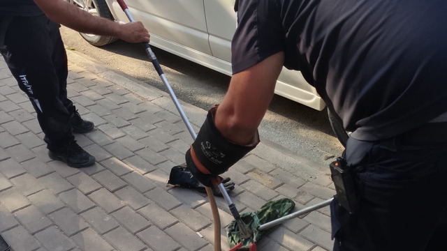 Park halindeki minibüsün motor kısmına giren yılanı itfaiyeciler çıkarıldı