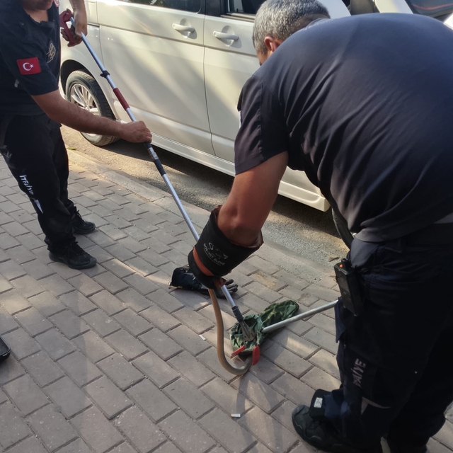 Park halindeki minibüsün motor kısmına giren yılanı itfaiyeciler çıkarıldı