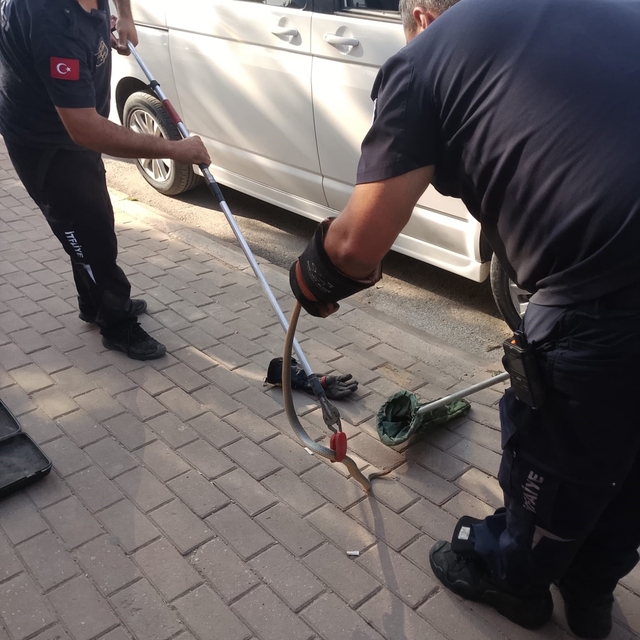 Minibüsün motoruna giren yılan itfaiye ekiplerini harekete geçirdi