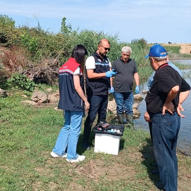 Edirne'de toplu balık ölümlerinin yaşandığı göletten numune alındı