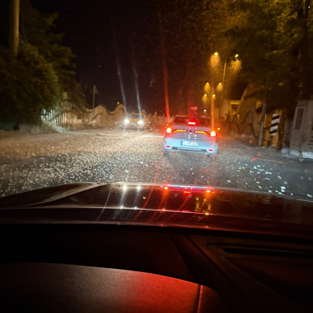 Sakarya'da milyonlarca kelebeğin ölüm dansı