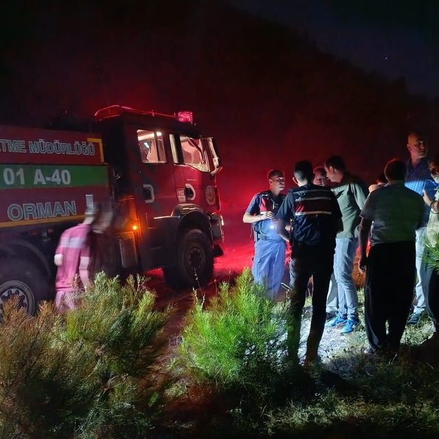Adana'daki orman yangını kontrol altına alındı