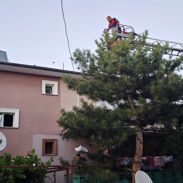 Apartman çatısında mahsur kalan kedi itfaiye ekiplerince kurtarıldı
