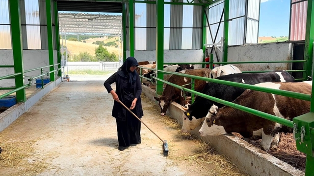 Gediz'de 12 milyon TL'lik büyükbaş besi işletmesi faaliyete geçti