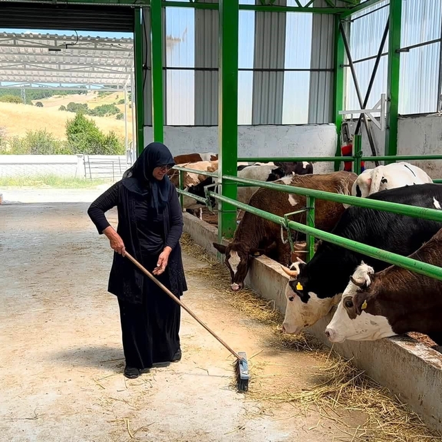 Gediz'de 12 milyon TL'lik büyükbaş besi işletmesi faaliyete geçti
