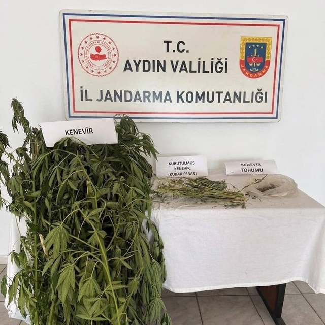 Efeler'de kenevir operasyonu