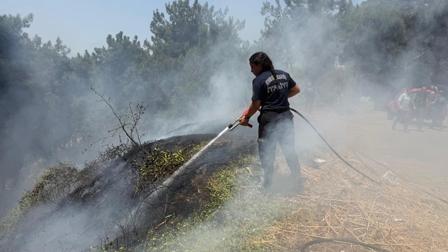 Aydın Büyükşehir İtfaiyesi 8 günde 445 yangına müdahale etti