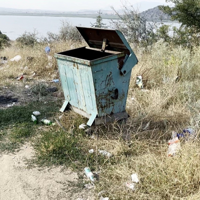 Boş çöp konteynerinin etrafının atıklarla kaplandığını gören profesörden se...