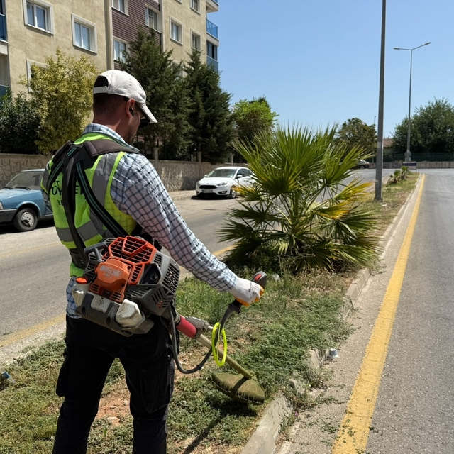 Aydın Büyükşehir'den Çeştepe'de park ve yeşil alanlara bakım