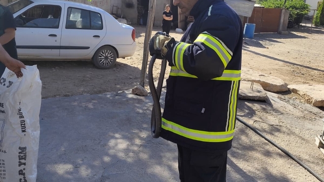 Yatak odasında çığlık attıran görüntü