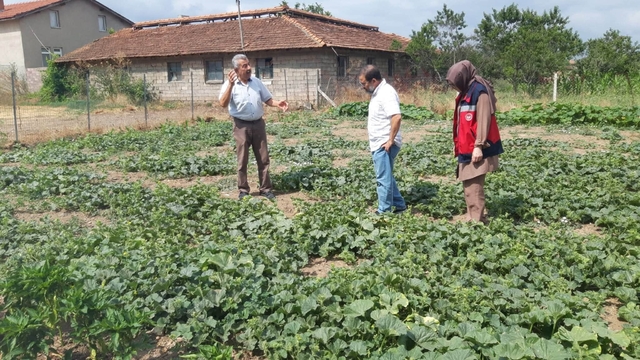 Tavşanlı'da tarım arazileri ve seralarda hastalık kontrolleri sürüyor
