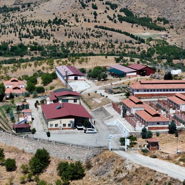Geçici Hayvan Bakımevi ve Rehabilitasyon Merkezi'nde 15 bin sokak hayvanı t...
